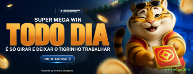 Segurança Depósitos princesapg